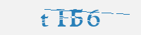 보안문자